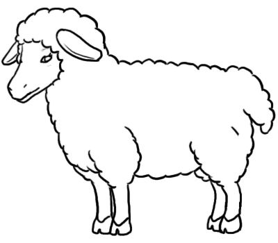 Sheep Drawing | Free Download Clip Art | Free Clip Art | on ...