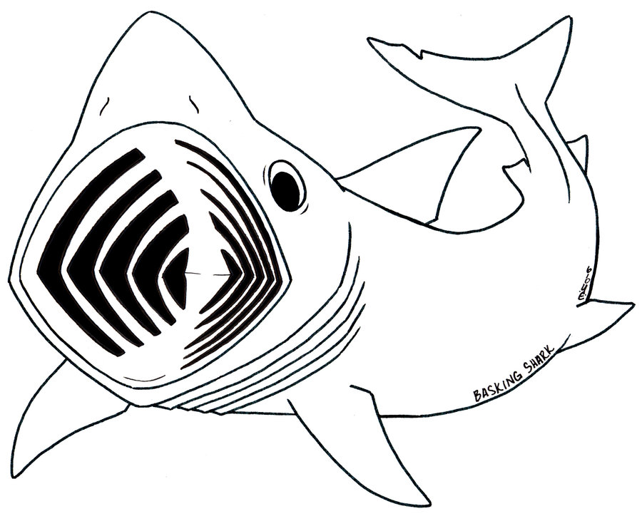 deviantART: More Like Whale Shark by