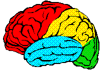 colorbrain.gif