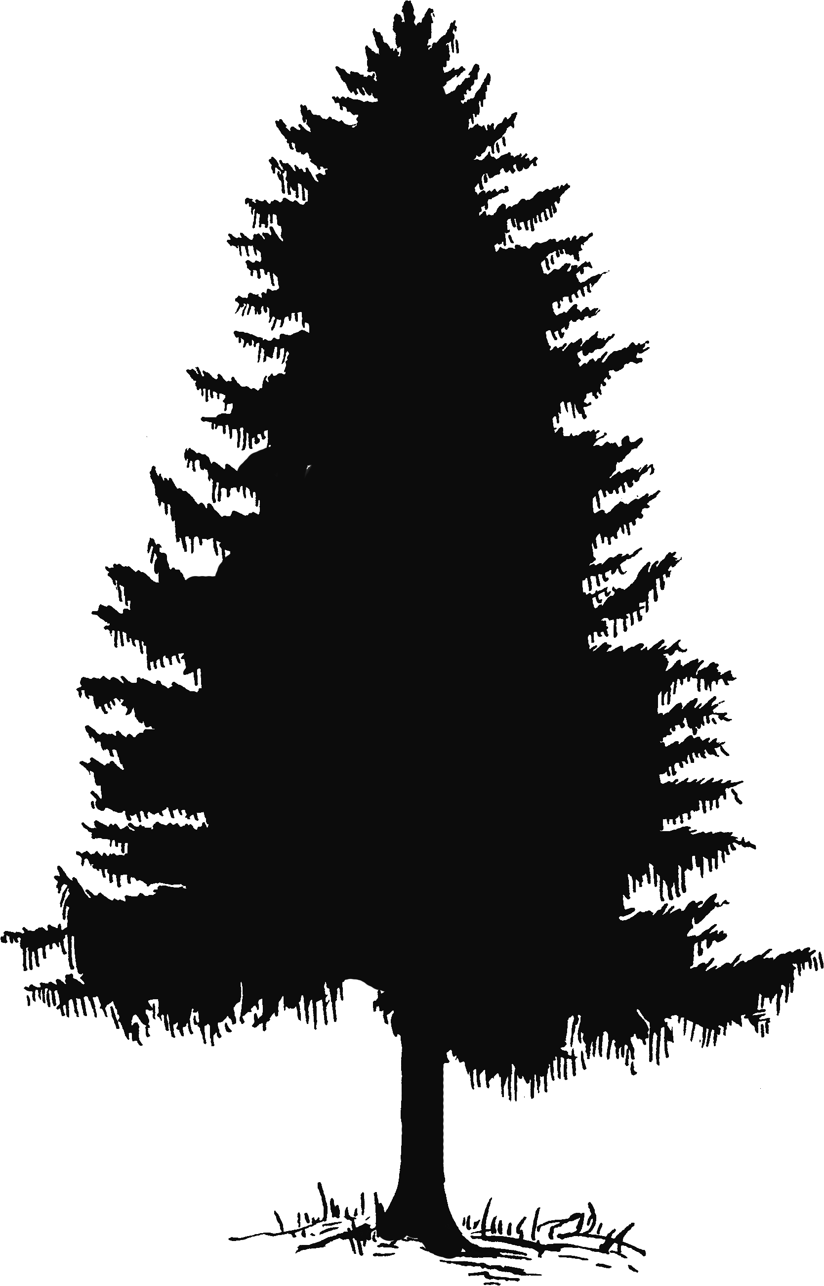 Forest Silhouette - ClipArt Best