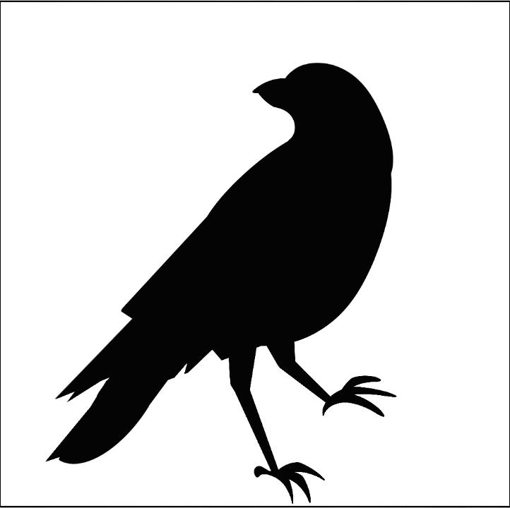 Crow Drawing - ClipArt Best
