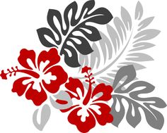 Hibiscus flower line art