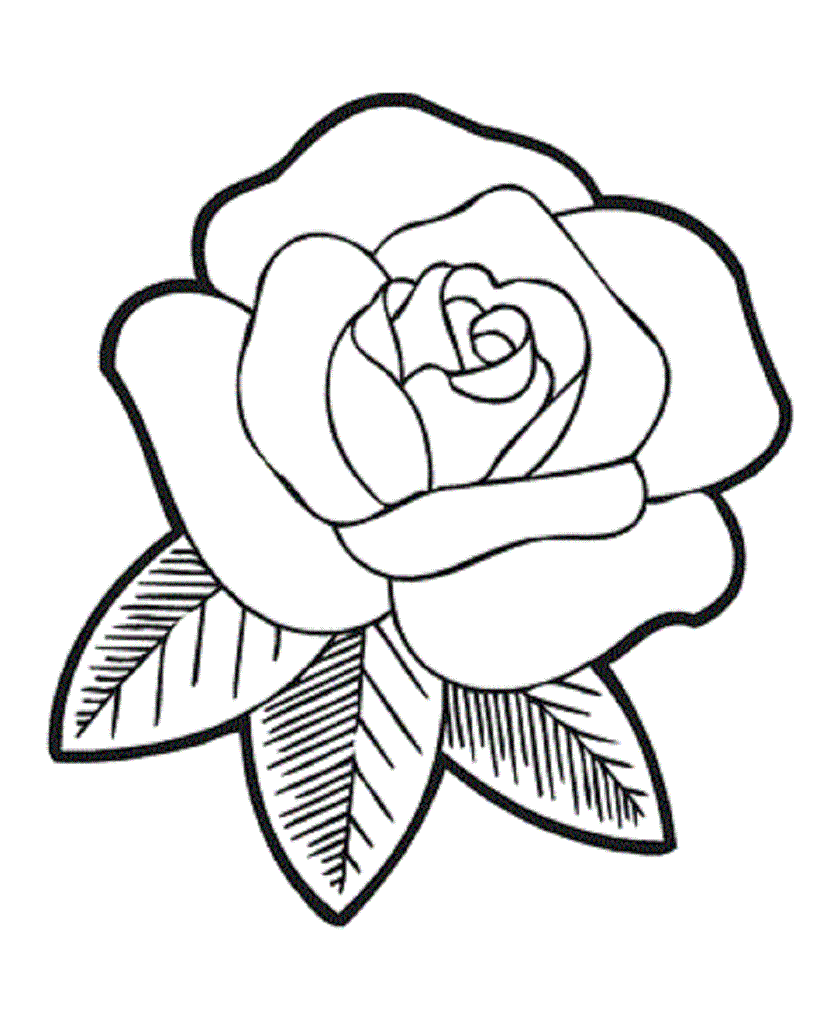 Rose Cartoon Drawing | Free Download Clip Art | Free Clip Art | on ...