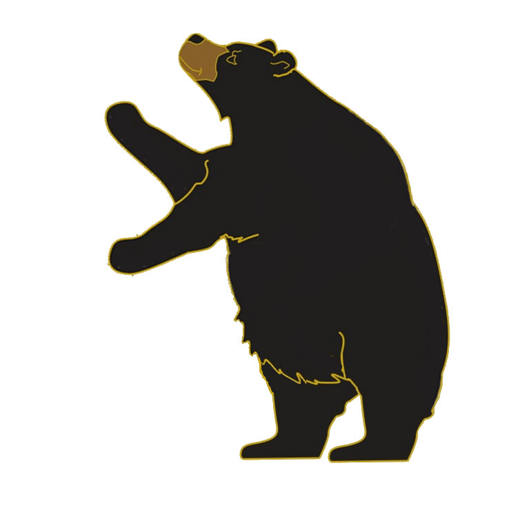 Standing Black Bear Drawing - Free Clipart Images