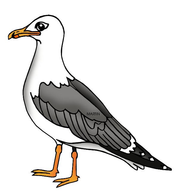 Seagull Clip Art - Images, Illustrations, Photos