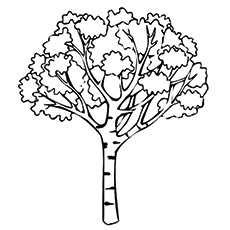 Top 25 Tree Coloring Pages For Your Little Ones