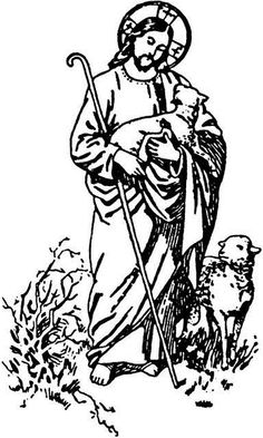 Vines, The good shepherd and The good