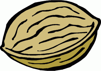 Clipart nut