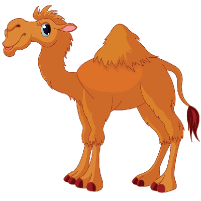 Funny Camel Pictures