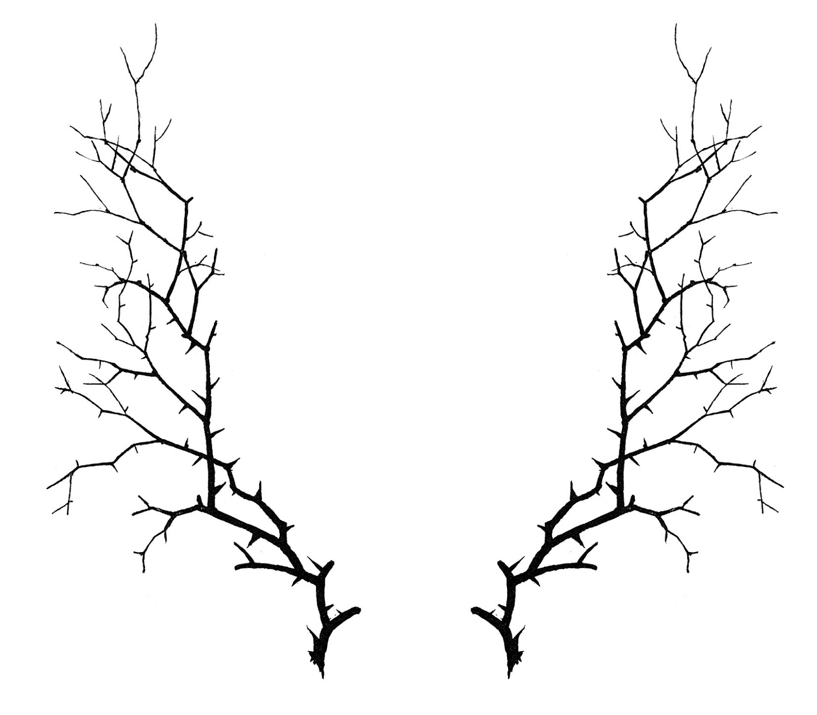 Victorian Vintage Borders Clipart