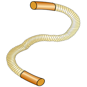1400 free vector rope circle | Public domain vectors