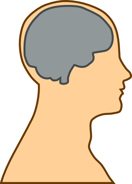 Empty brain clipart