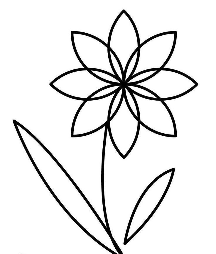 Flower Drawing Tracing - ClipArt Best