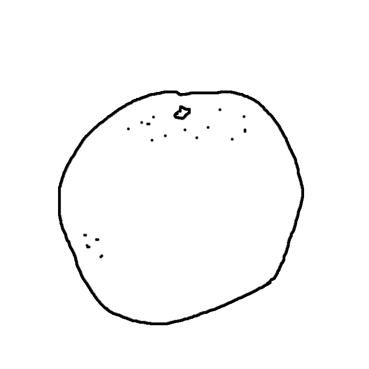Orange Black And White Clipart