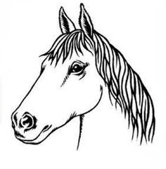 Sweet, Horse head and Blog