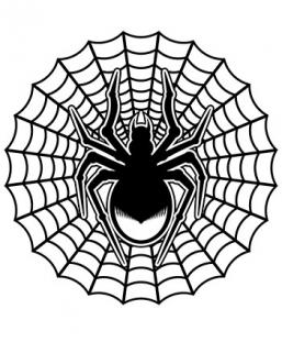 Spider Web Tattoo Designs