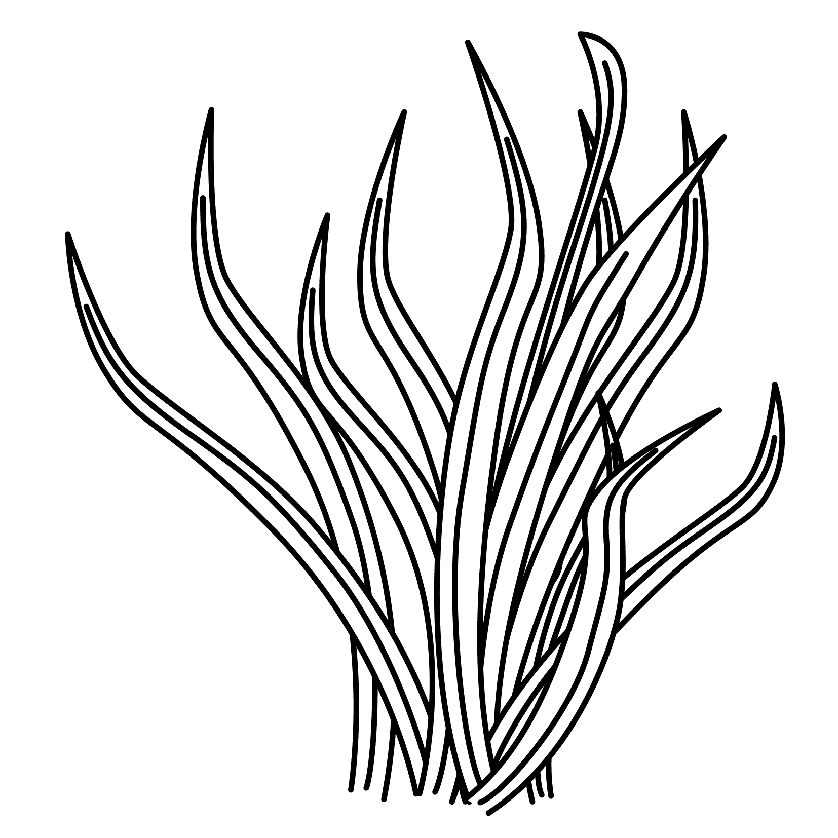 Seaweed grass clipart