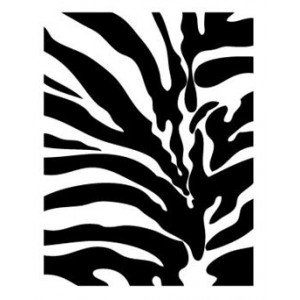 Zebra 15