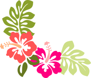 Hibiscus Vector - ClipArt Best