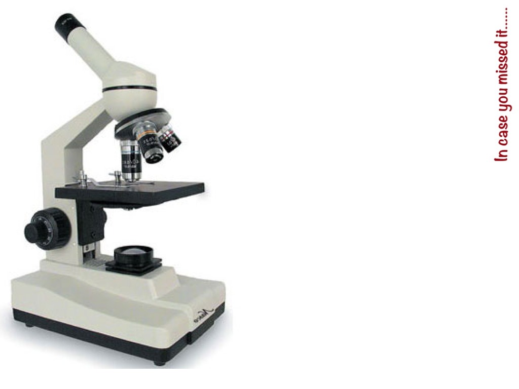 Microscope Drawing Worksheet - Free Clipart Images
