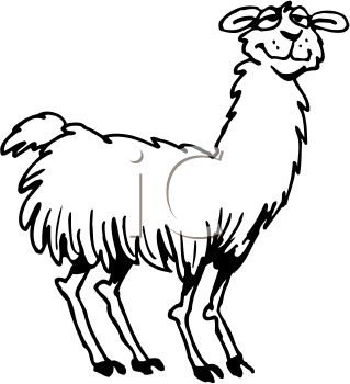 Alpaca Cartoon Clipart