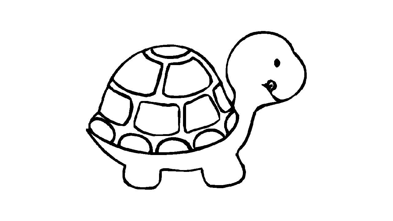 Turtle Sketch | Drawing Images