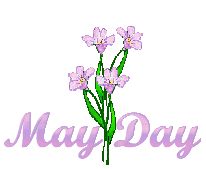 Purple flowers, Purple and Flower