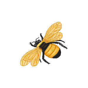 Bumble bee graphics clipart