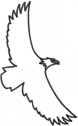 Bald Eagle Outline