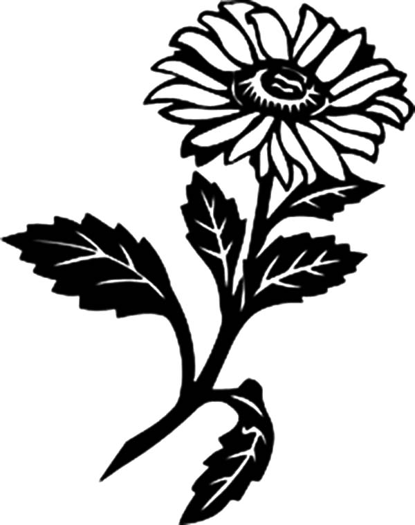 1 References for Coloring Pages - Part 21