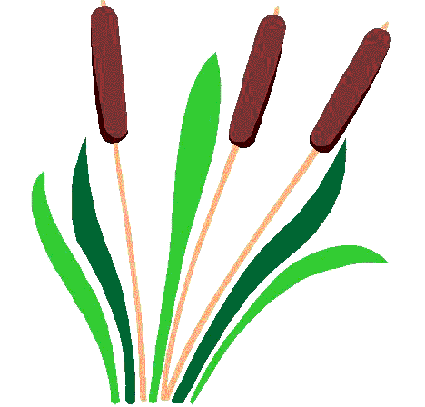 Preservationist Clipart - Free Clipart Images