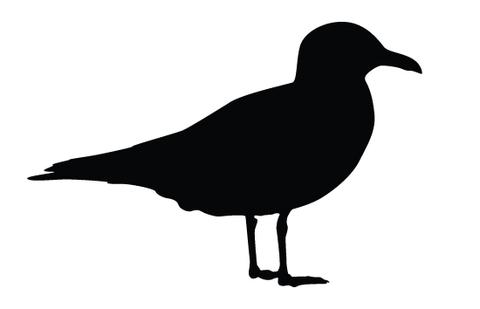 Seagull silhouette vectors – Silhouettes Vector