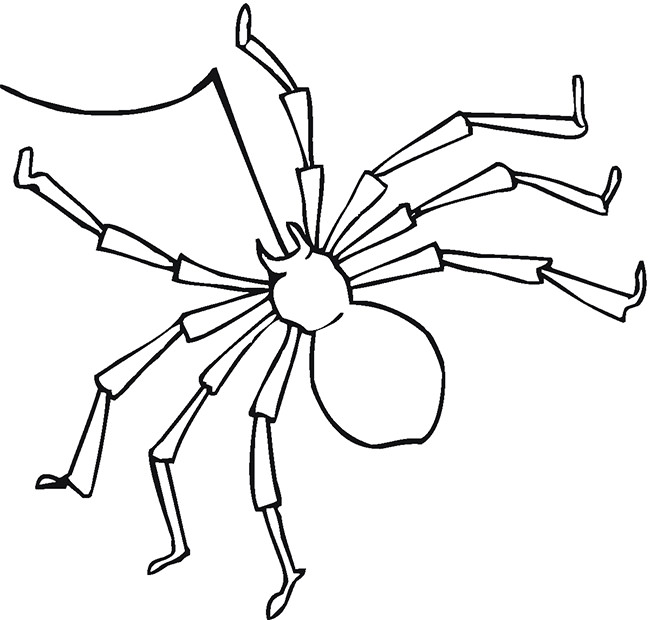 Spider Shape Template - 55+ Crafts & Colouring Pages | Free ...