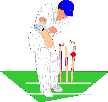 Cricket Gif - InspiriToo.