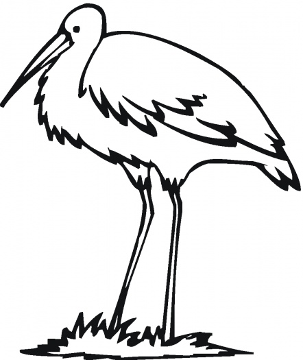 Egret outline coloring page | Super Coloring