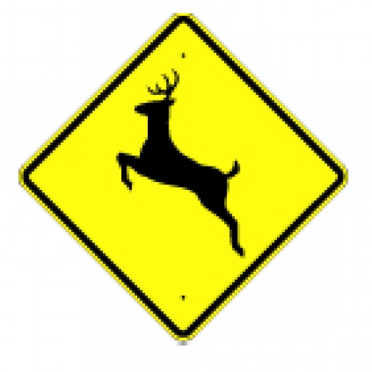 DeNyseCo Online Store - Warning Signs