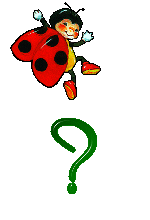 question-mark23.gif
