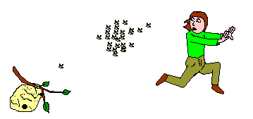 hive.gif