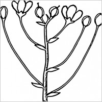 Plant flower outline clip art Free vector for free download (about ...