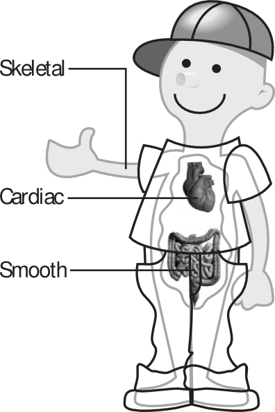 Kid Standing Showing Organs clip art - vector clip art online ...
