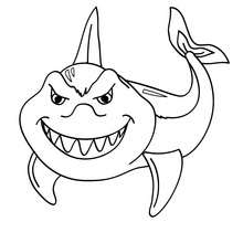 Shark | Cute Whale Clip Art | Animal Picture