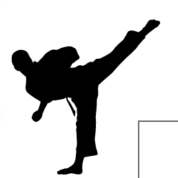LIFE-SIZE SPORT SILHOUETTES, WALL DECALS: Soccer Player ...