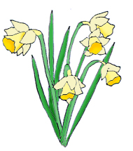 Spring Clipart - Spring Flower Pictures & Spring Flower Clipart