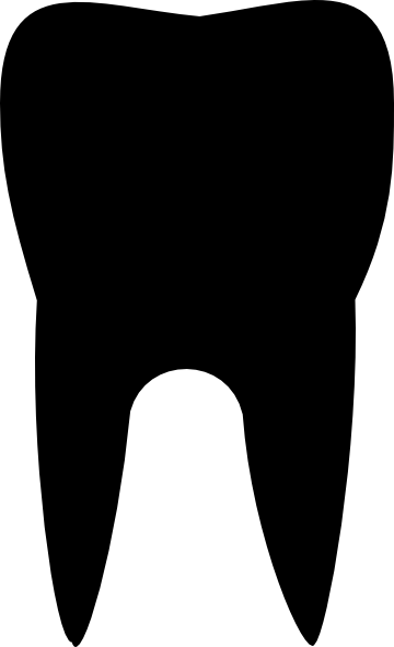 Tooth outline free clipart - Cliparting.com