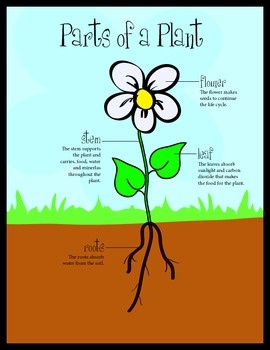 This file includes posters, handouts, lesson and a game to teach ...
