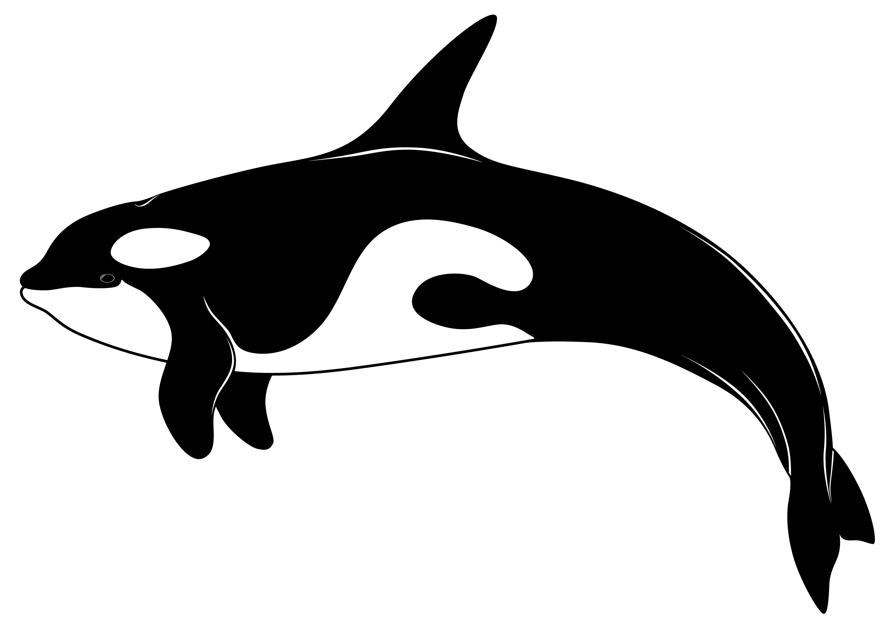Mean Killer Whale Cartoon