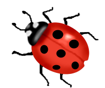 Ladybird Ladybird … | Woodville Infant School