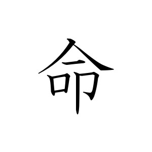 Japanese Symbol for Life - Polyvore