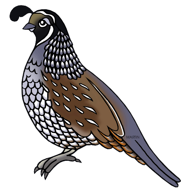 Game bird clipart