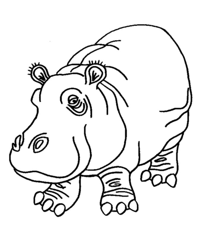 1000+ images about Hippo Crafts | Doc McStuffins ...